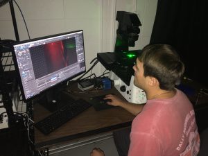 Student taking fluorescent microscopy images