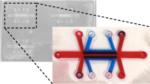 Microfluidic device